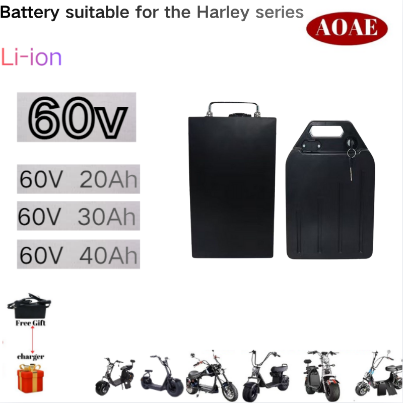 60V 30Ah Electric Scooter Battery - 할리 배터리 60V 20Ah 30Ah 40Ah
