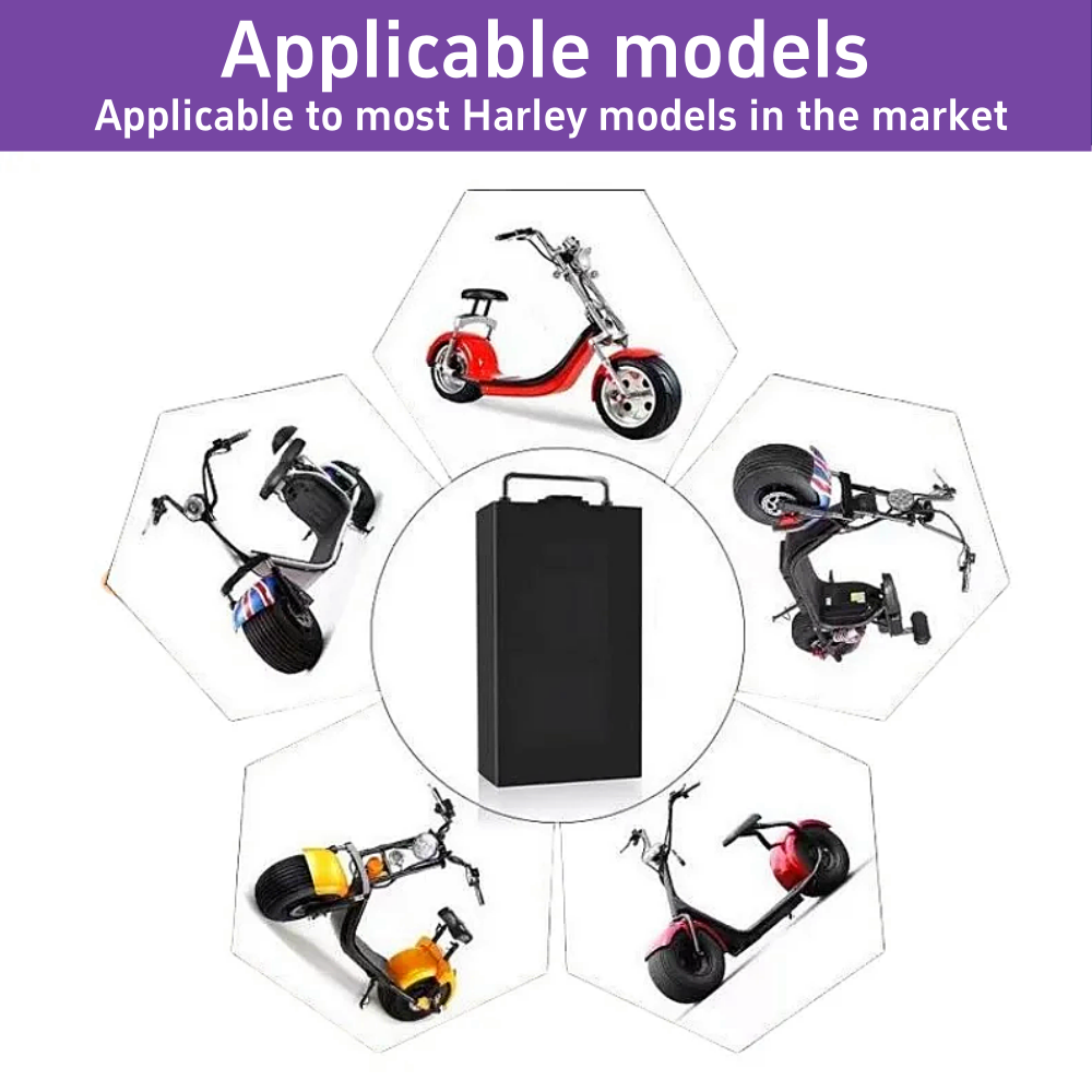할리 전기 자동차 리튬 배터리용 60V 10/20/30 - 60V 30Ah Electric Scooter Battery 리뷰 및 가격